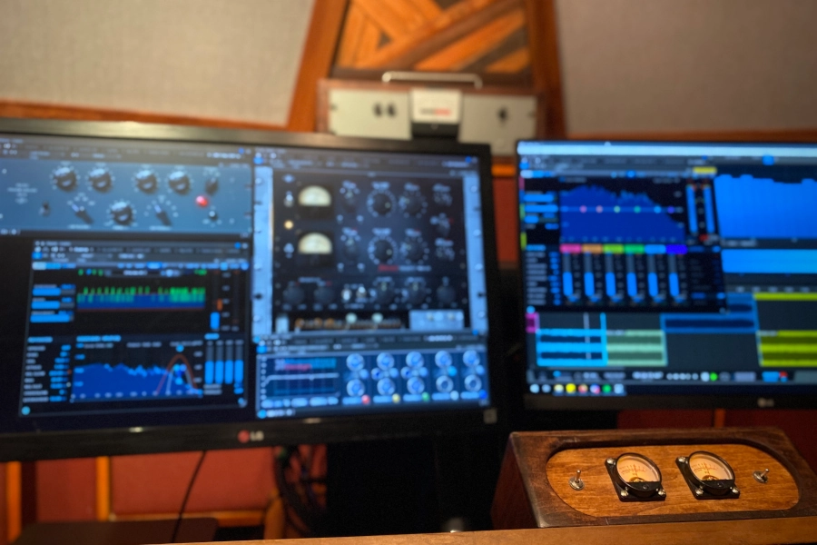 Mastering Software
